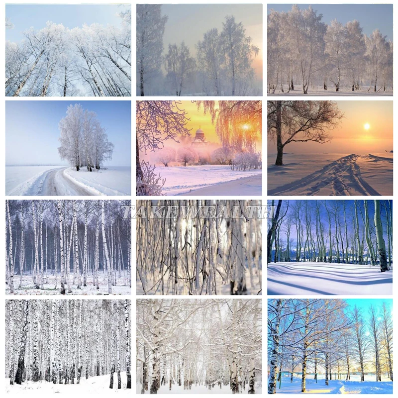 5D Сделай Сам полный квадратный алмаз картина дисплей Белая береза зима Алмазная