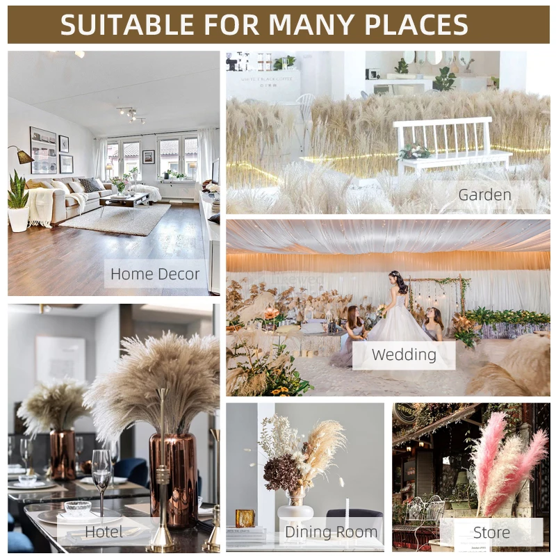 

Free shipping,10/20pcs,Dried Pampas Grass Bouquet,Wedding Decor,Flower Bunch,Natural Plants,Home Decor