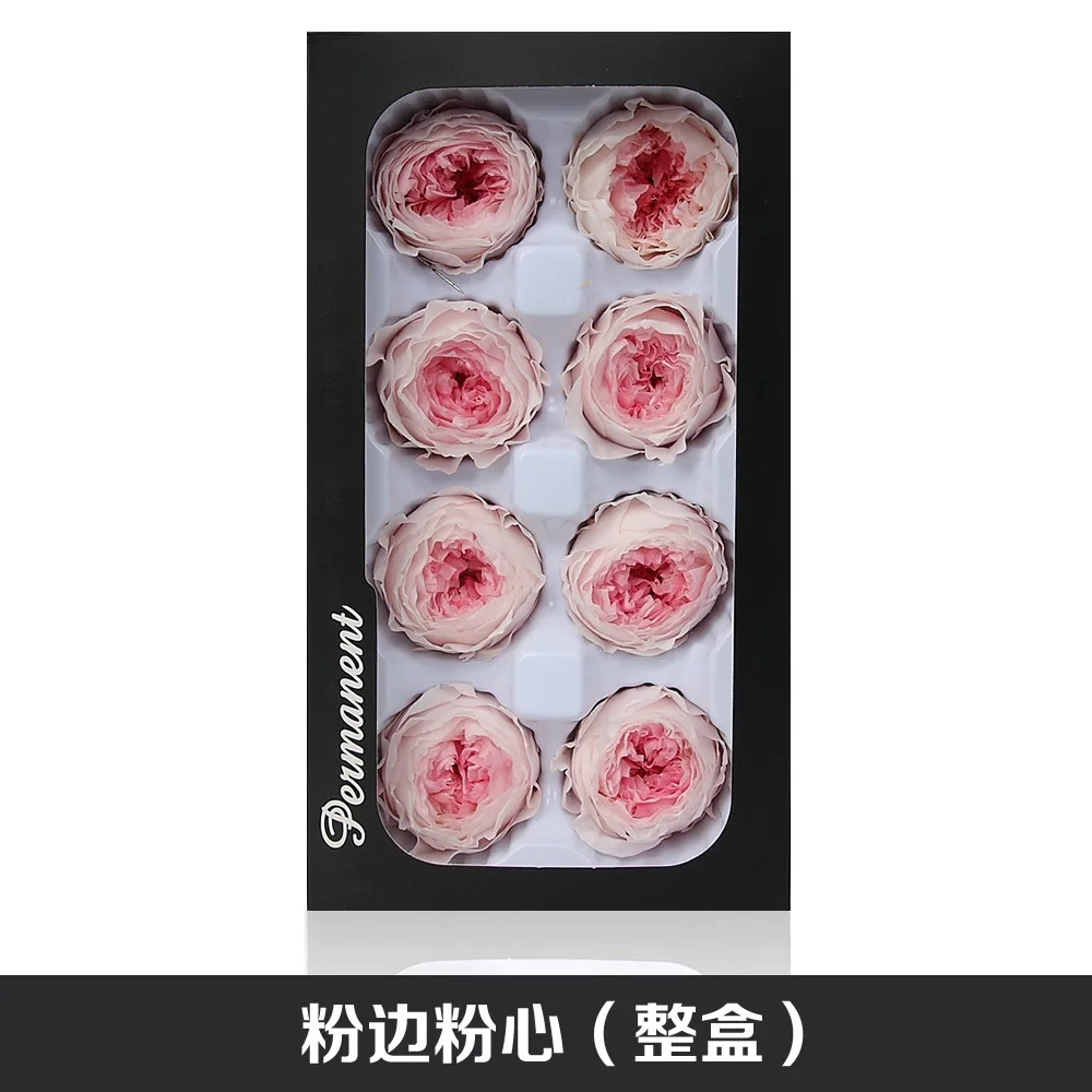 

4-5CM/8pcs,Grade A Preserved Austin Roses Head,flowers Gift Eternal Rose for Wedding Party Decoration,Bridal Headdress Favo