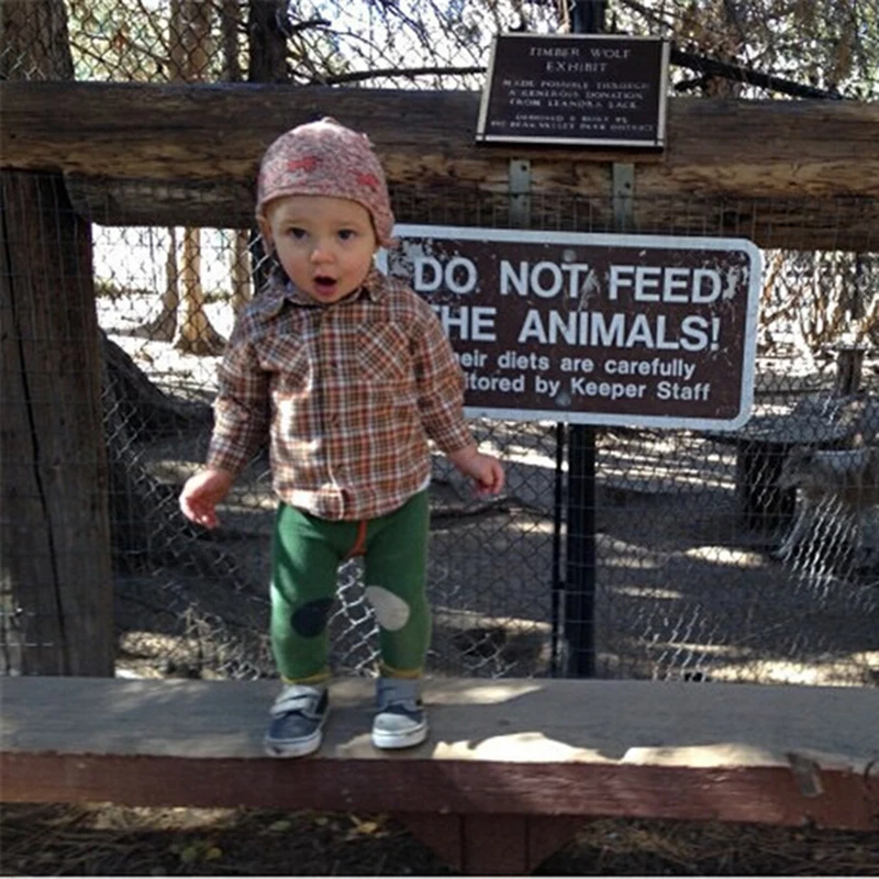 Chifuna милые зимние детские леггинсы для мальчиков и девочек повседневные