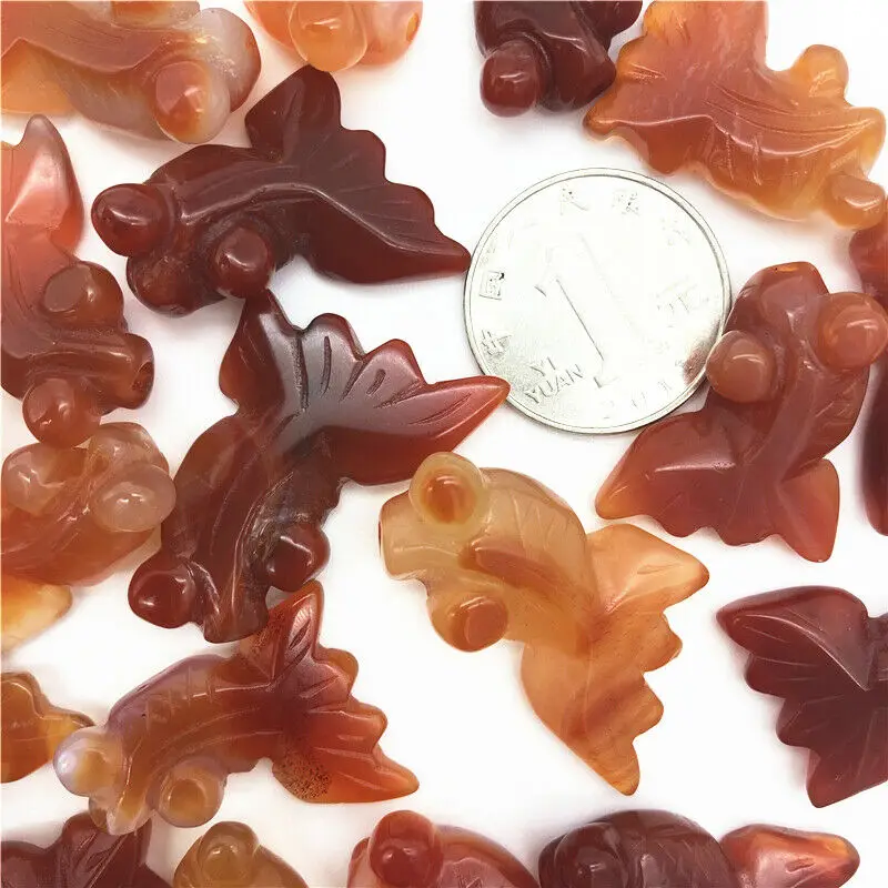 

1PC Small Natural Red Carnelian Agate Golden Fish Sardonyx Crystal Goldenfish Gifts Natural Stones and Minerals