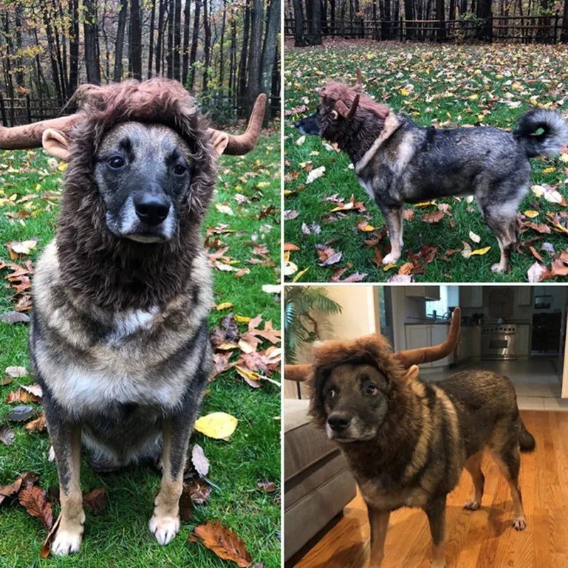 

Modern Fashion Bull Horn Wig For Pet Dog Costume Cosplay Pet Headdress Wig Hat Pet Dog Cat Horn Headgear Halloween Party