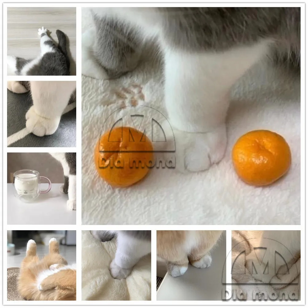 

Алмазная живопись «кошачья лапа» «сделай сам», милый Декор для комнаты, полная вышивка, искусственная кожа, мозаика, вышивка крестиком