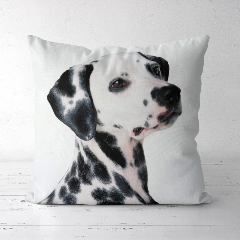

Cute animal pillowcases are available in various sizes