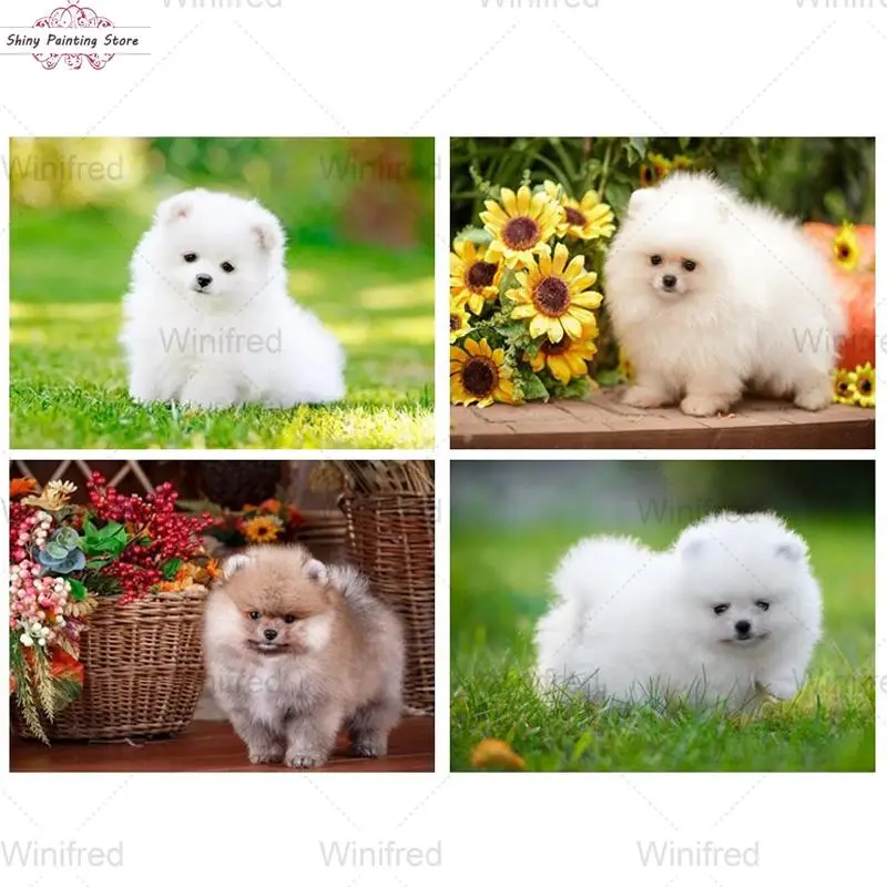 

5D Full Drill Diamond Embroidery Cross Stitch Kit Pomeranian Little White Dog Diamond Painting Animal Handicraft Wall Decoration