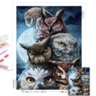 Алмазная живопись 5D животное вышивка крестиком Алмазная мозаика сова картина Стразы Зимняя Вышивка бисером ручная работа, акварель