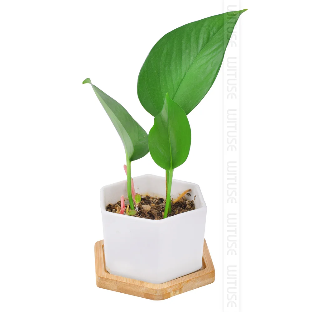 6 шт./лот подставка квадратная круглая овальная Цветочная бонсай плантатор для