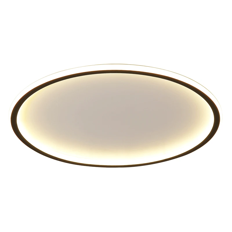

Nordic Minimalist Style Ceiling Light For Bedroom Living Room Resturant Study Round Black Metal And Aluminum Lamps