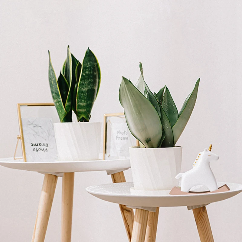 

12 Pack 5.1Inch White Plastic Flower Plant Pots with 5PCS 6.6 Inch Plastic Planters Flower Pots