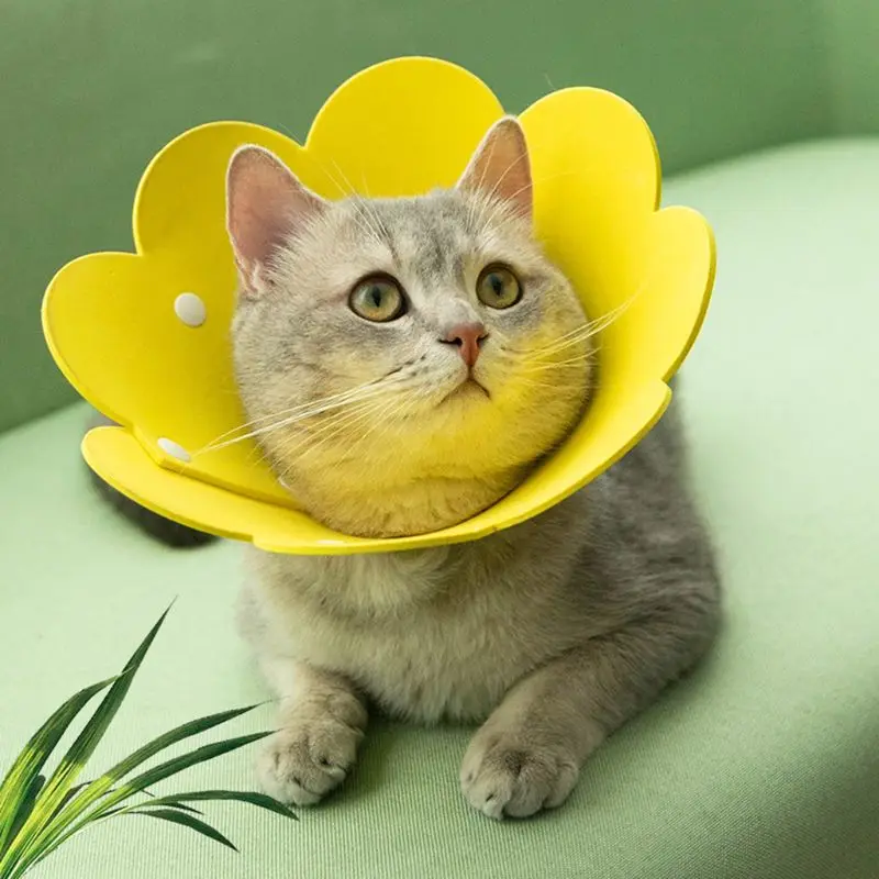 

Flower Shaped Cat Recovery Elizabeth Collar EVA Sponge Wound Healing Protection Cone Suitable for Kittens and Dogs Pet Supplies