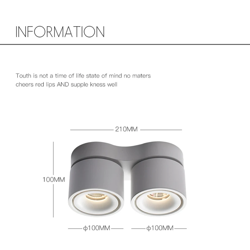 

Dimmable Surface Mounted LED COB Downlight 20W/24W Rotating LED Spot Light Ceiling Lamp with LED Driver AC110V/220V