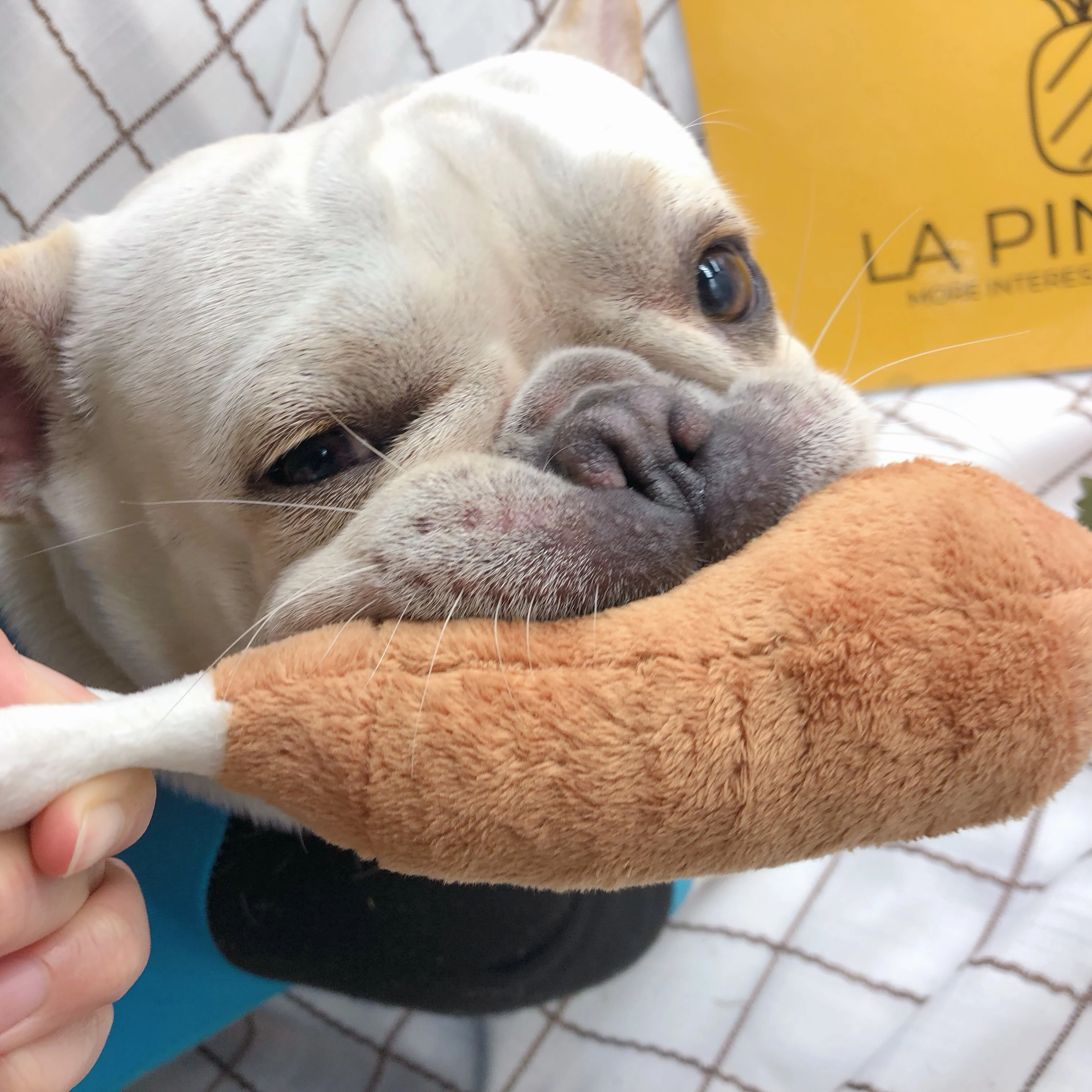 Игрушка для щенков товары домашних животных вокальные плюшевые игрушки кости