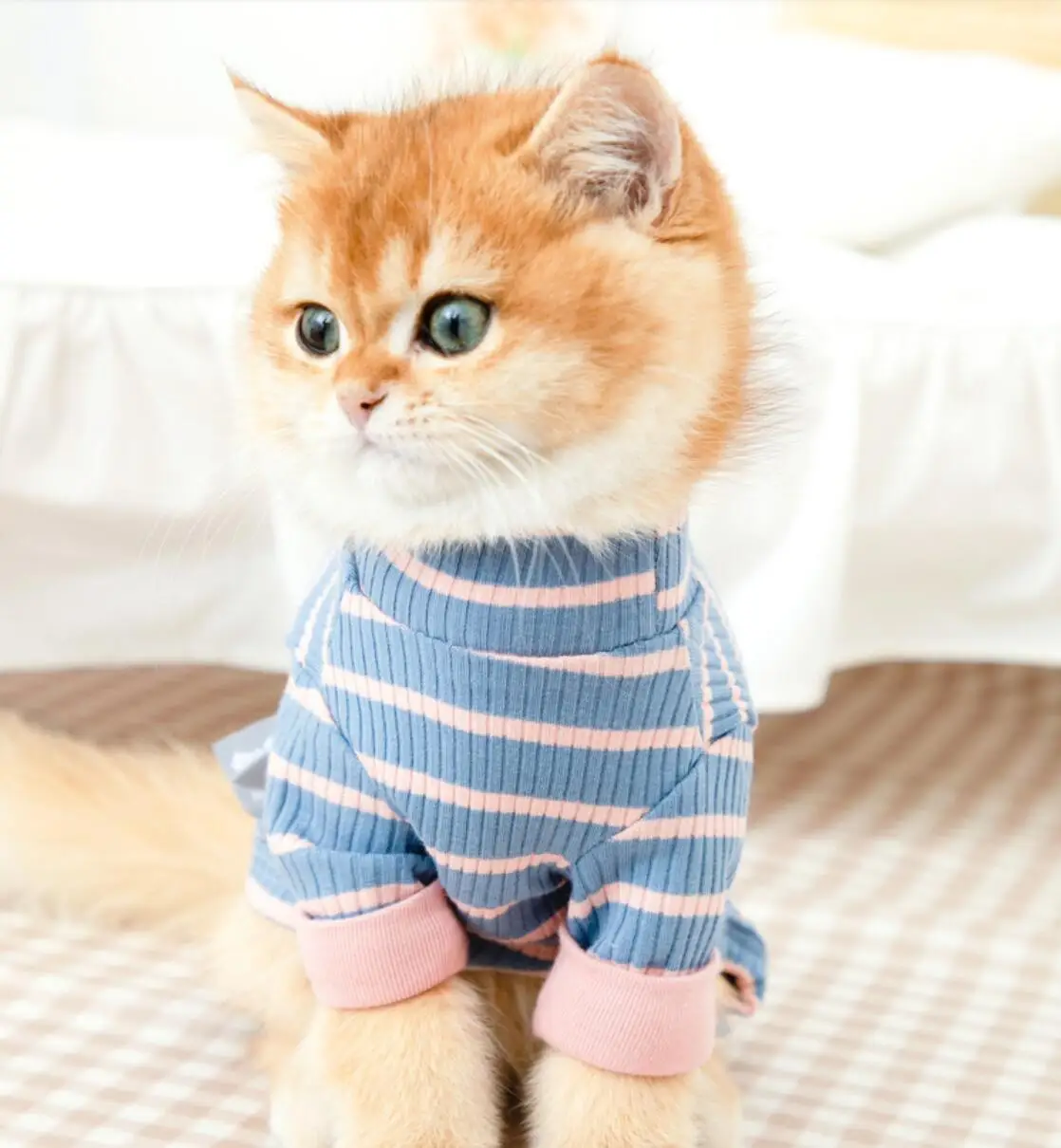

Cat Clothes Small Cats Vest Casual Warm Kitten Shirt