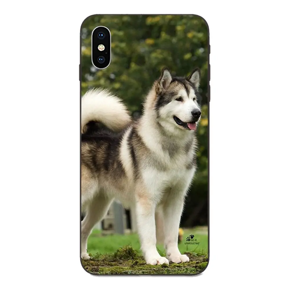 as picture Мягкий чехол для Huawei Honor 5A 6A 6C 7A 7C 7X 8A 8C 8X9 10 P8 P9 P10 P20 P30 Мини Lite Plus самоед милая собака - Цвет: as picture