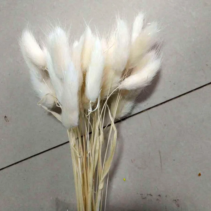 OA0540W 30Pcs/lot Natural Dried Flower Colorful Lagurus Ovatus Real Flower Bouquet for Home Wedding Decoration Rabbit Tail Grass Bunches - Цвет: OA0540W