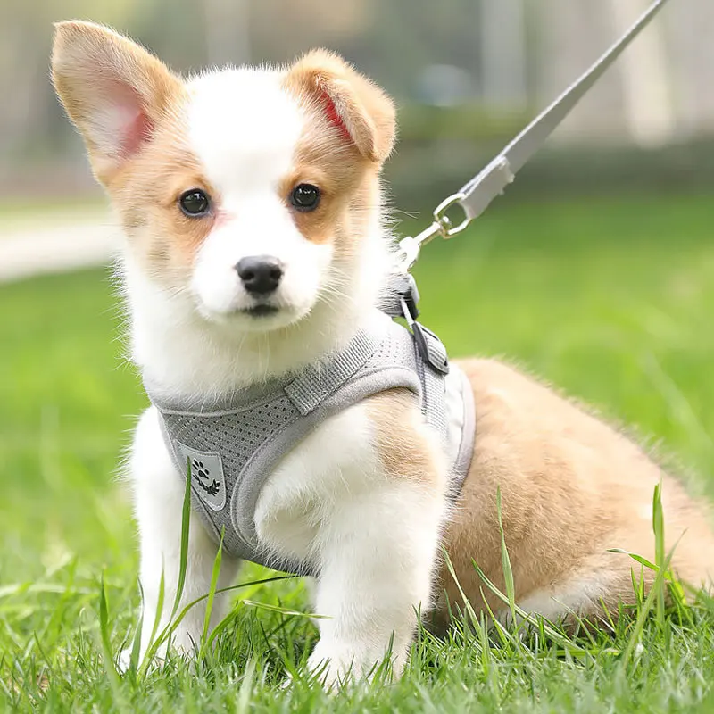 

Светоотражающая полосатая шлейка для котят, Воздухопроницаемый жилет с поводком для щенков и кошек, бульдог, легкое управление