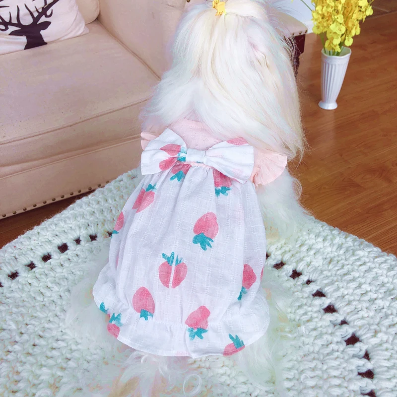 Одежда для маленьких собак одежда костюм чихуахуа йоркширского терьера Pomeranian