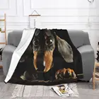 Флисовое одеяло с фотографией таксы и собаки, многофункциональное легкое тонкое покрывало для домашних животных, машины для кровати, Осень-зима