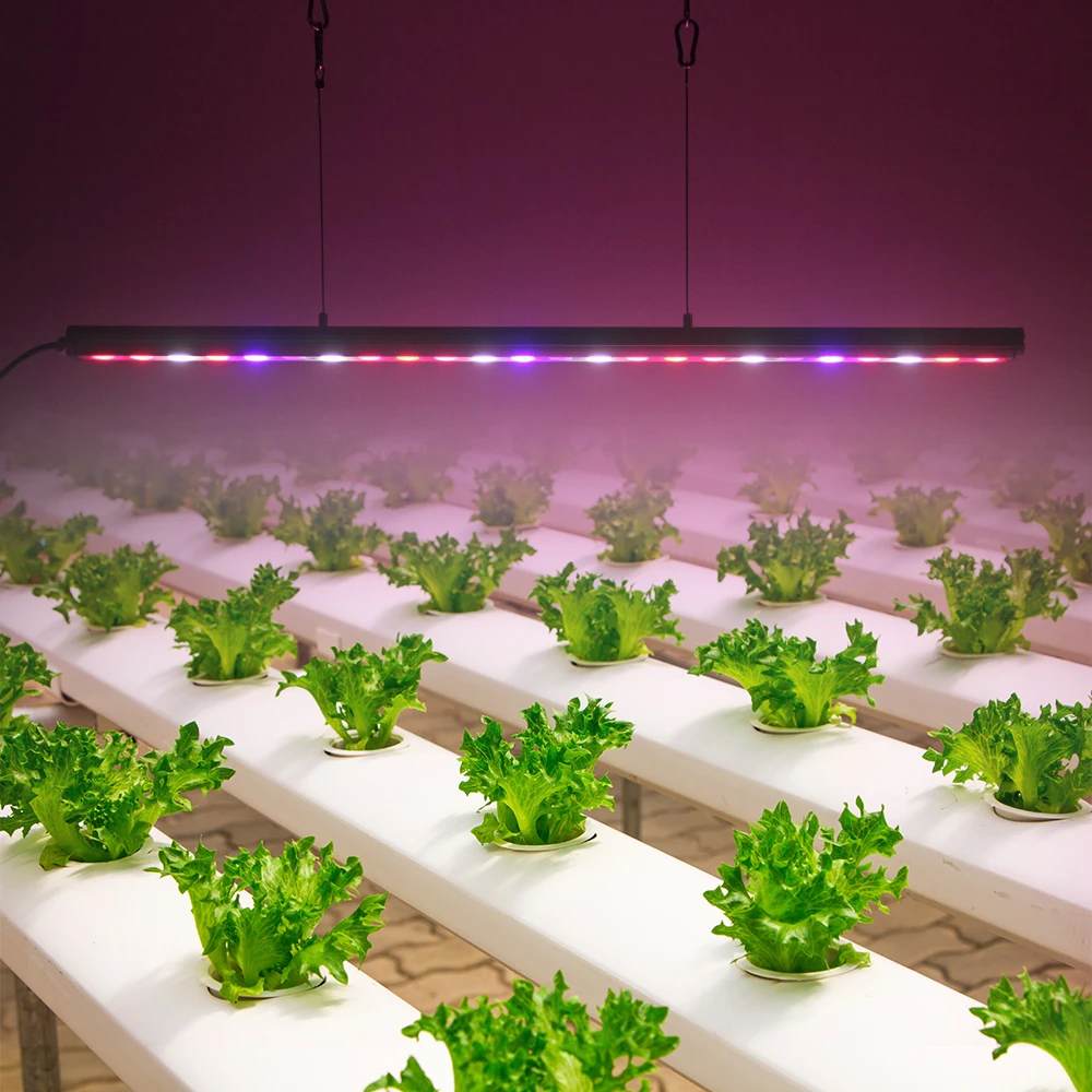 

cp200 LED Grow Light Tube 72W Full Spectrum Growth LED Bar Light Set With power supply for Indoor Hydroponic system