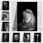 Черно-белая художественная картина, Декор для дома, искусство на стену, современные Яркие постеры с животными и львом для спальни