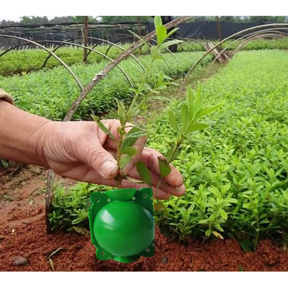 

Plastic Reusable Grafting Apparatus Rooting Seed Garden Box Plant