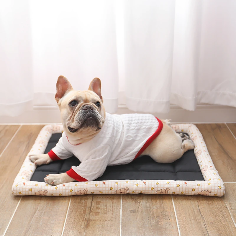 Четыре сезона общие Домашние животные плохой квадратный край собаки прохладное