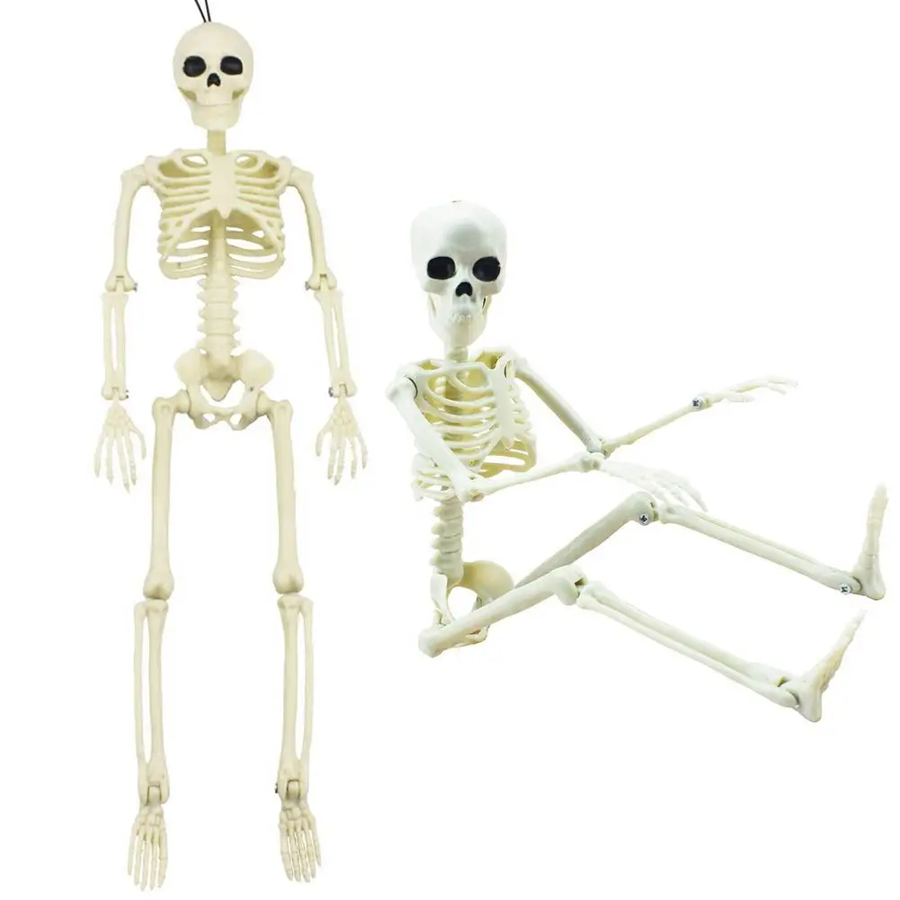 

People Active Model Skeleto Anatomy Skeleton Skeleton Model Medical Learning Halloween Party Decoration Skeleton Art Sketch 40cm