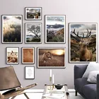Картина на холсте с изображением леса облаков тумана Травы Горного пейзажа, постеры и принты для декора гостиной