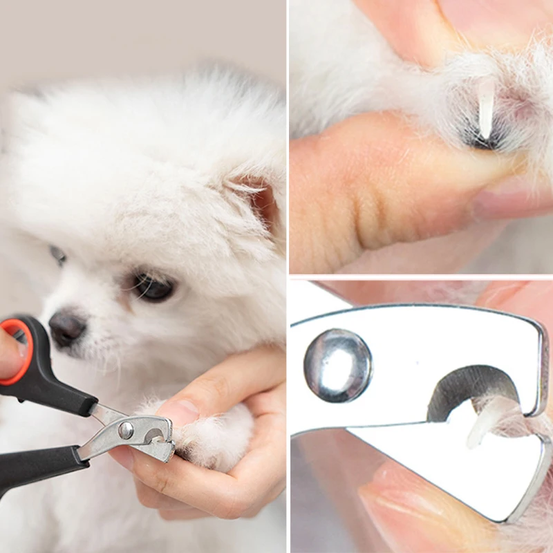 

Animal Grooming Tools Pet Nail Scissors Pet Supplies Pet Nail Trimming Scissors Pet Cat Dog Toenail Clipper Pet Supplies hot