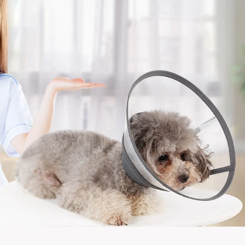 Ошейник для собаки кошки восстановления Елизаветинский воротник домашних