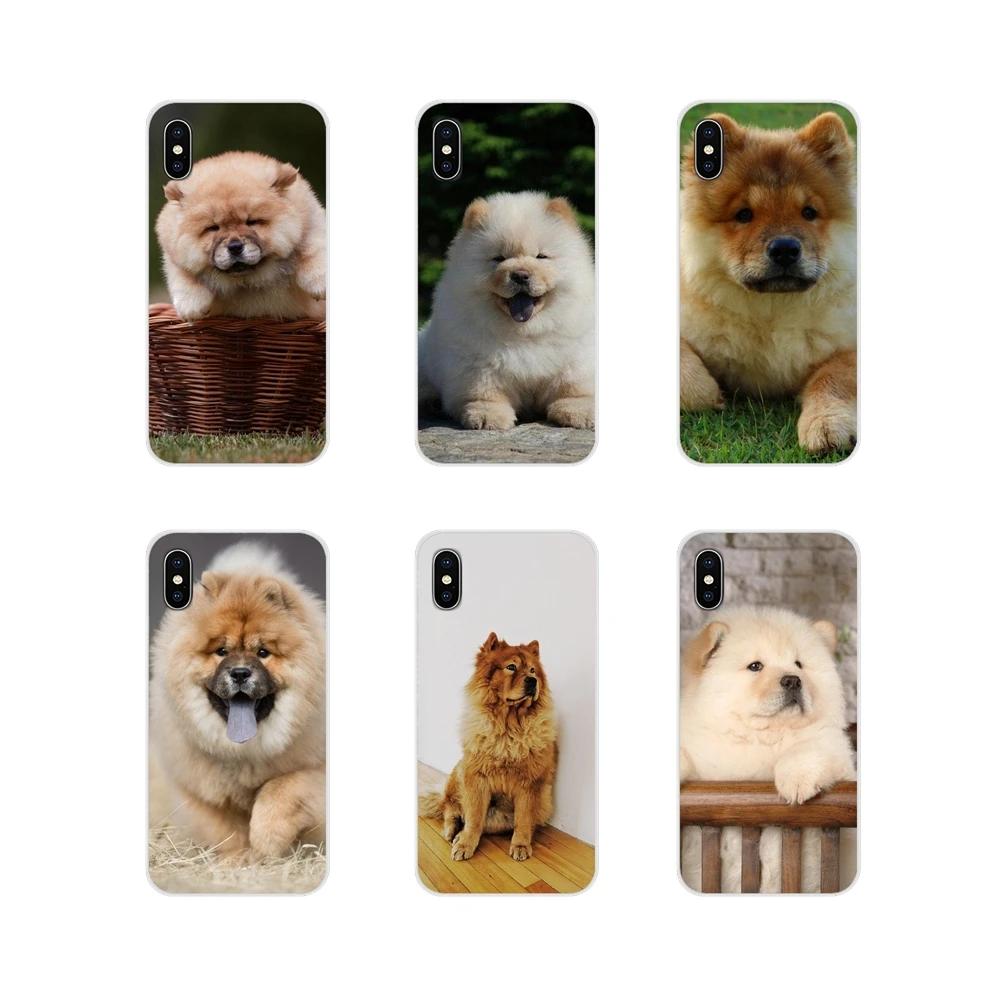 Chow dog для Apple iPhone X XR XS 11 12pro MAX 4S 5C SE 2020 6S 7 8 Plus ipod 5 6 Аксессуары чехлы