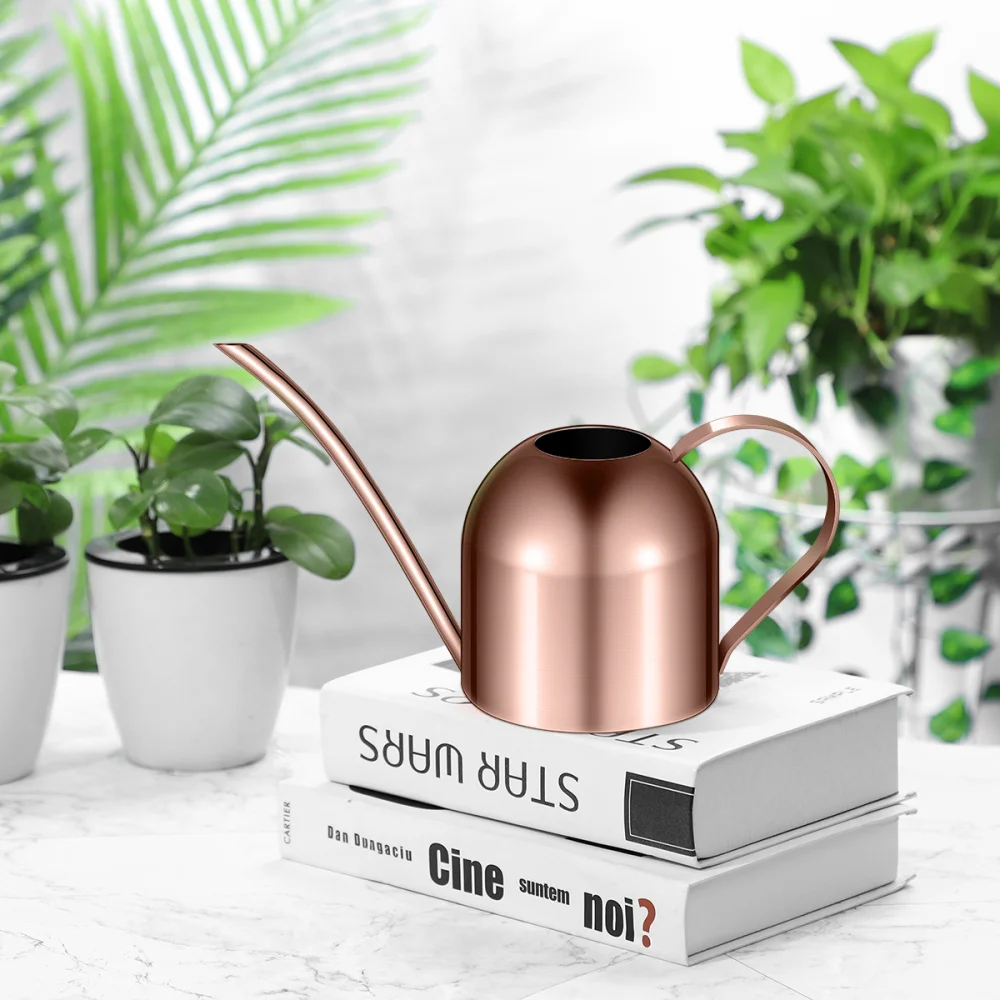 

Yardwe 1000ml Stainless Steel Watering Can Indoor Plants Succulents Long Spout Watering Pot for Home Garden Office (Copper)