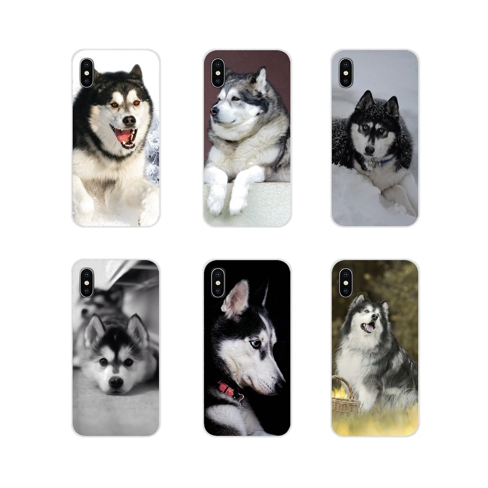 Чехол для телефона с изображением Аляски и маламута Samsung Galaxy S2 S3 S4 S5 Mini S6 S7 Edge S8 S9 S10E