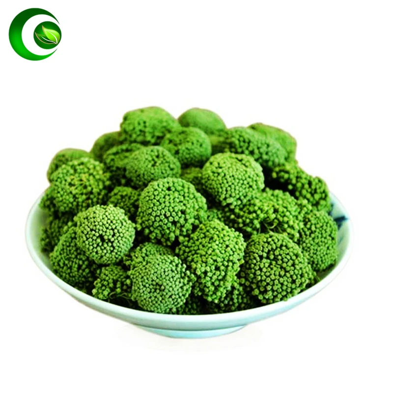 

Sanchi Flower Organic Sanqi Flower Buds TianQi Sanchi,Panax Tseng,Sanchi Ginseng Flower Panax Panax Notoginseng Powder