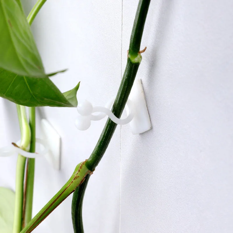 

10pcs Plant Climbing Wall Clip Invisible Wall Vines Fixture Wall Sticky Hook Holder Plant Cages Plant Supports Clip Vine Clip
