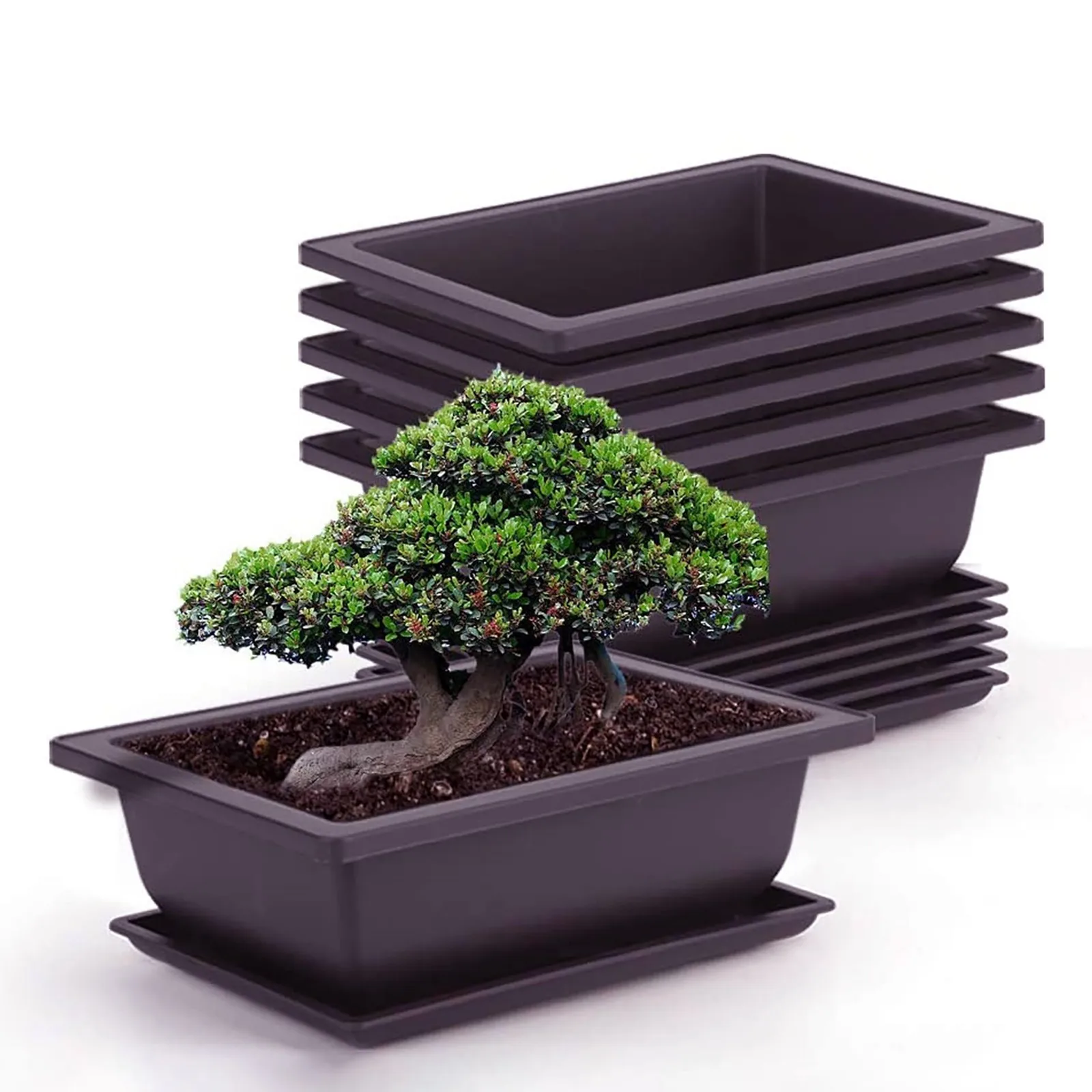 Bonsai pots. Горшок для бонсай. Горшок для цветов квадратный пластиковый. Столик для бонсай. Bonsai pots.