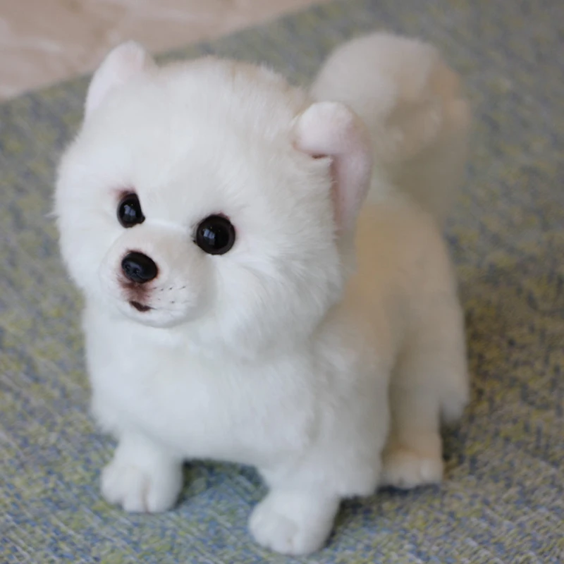 28 см милое моделирование домашних животных чучело собаки животные Померанский