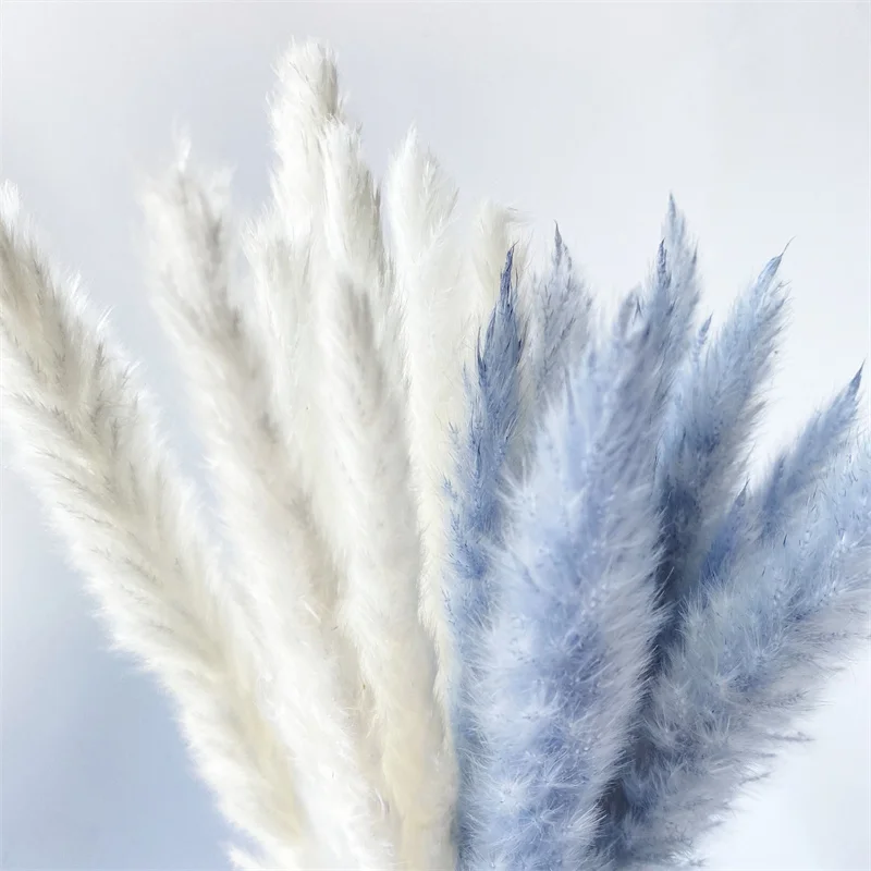 

15pcs White Dry Flowers Gray Bulrush Natural Dried Small Pampas Pink Grass Wedding Flower Marriage Party Home Decor Accessories