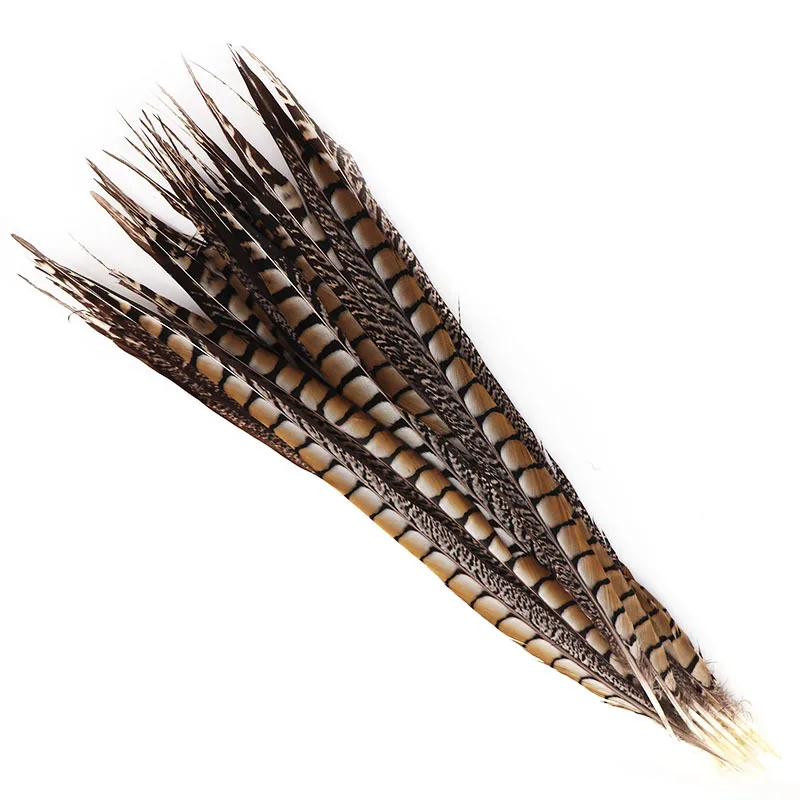 

New 100pcs/lot High Quality Pheasant Tail Feathers 60CM-70cm 24-28 Inch Home Accessories Celebration Dancers DIY Plume