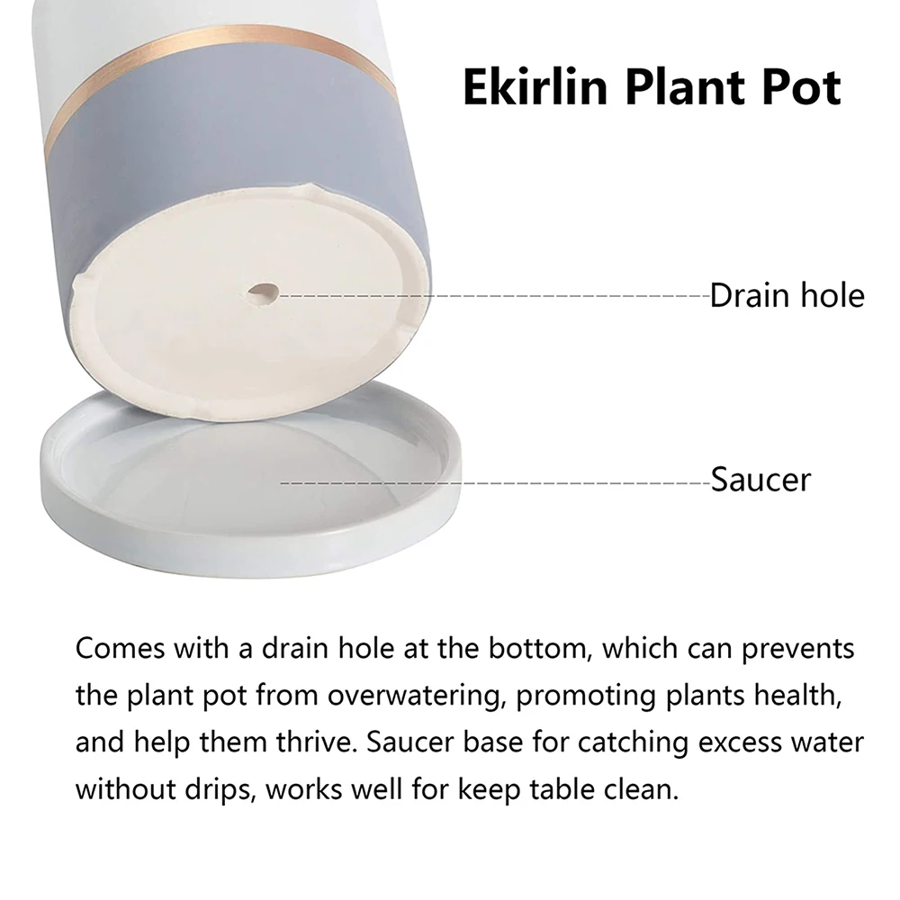 Зеленые растения в горшке украшение для садоводства новые современные