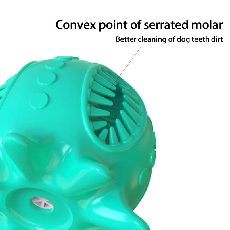 Собака зубы шлифовальный стержень приводит к эрозии чистыми Кости зубной щетки