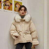 cotday short with hooded new winter womens winter korean thick cotton clothes bread clothes detachable fur collar jacket coat