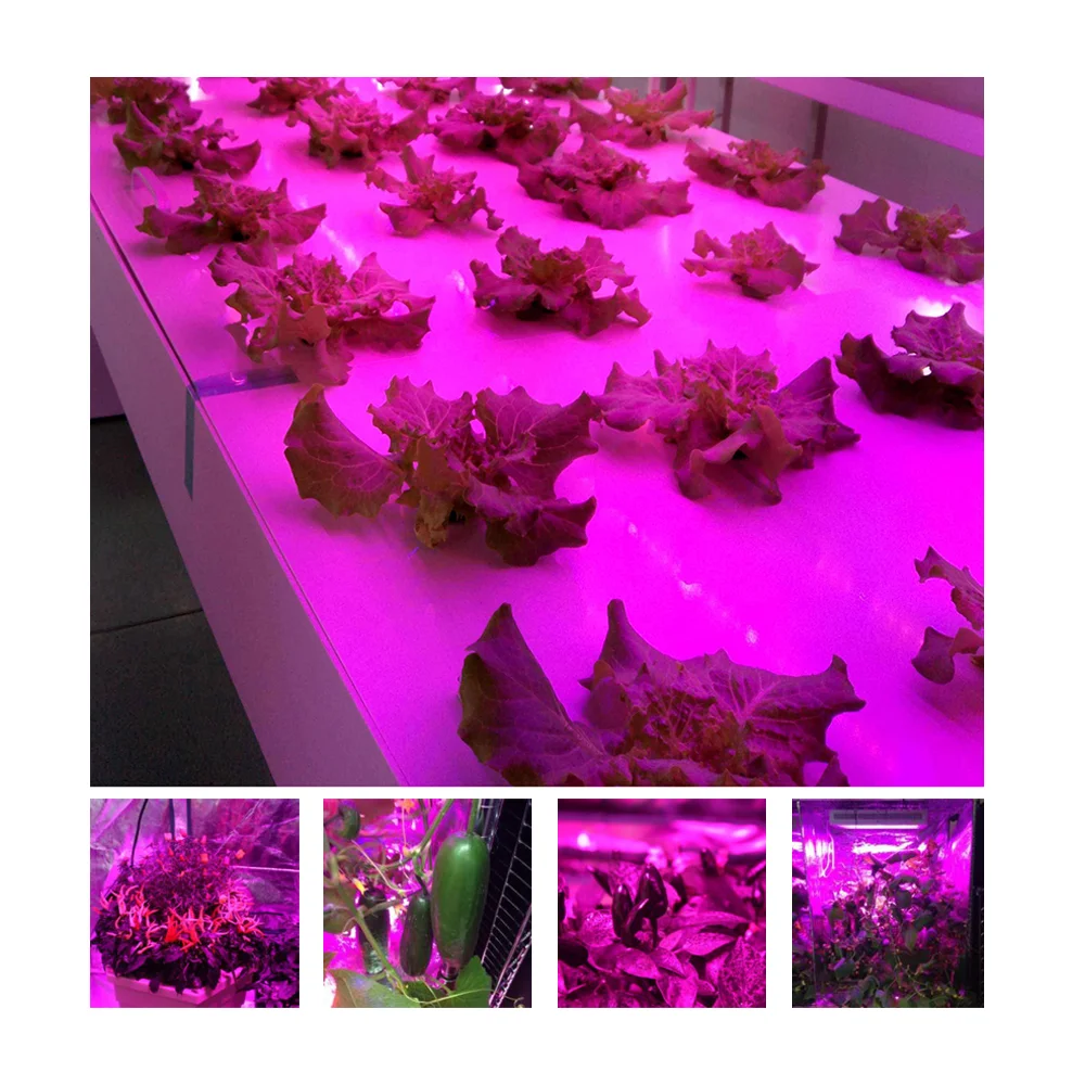 Белая Цветочная лампа 1000 Вт Светодиодный светильник для выращивания растений