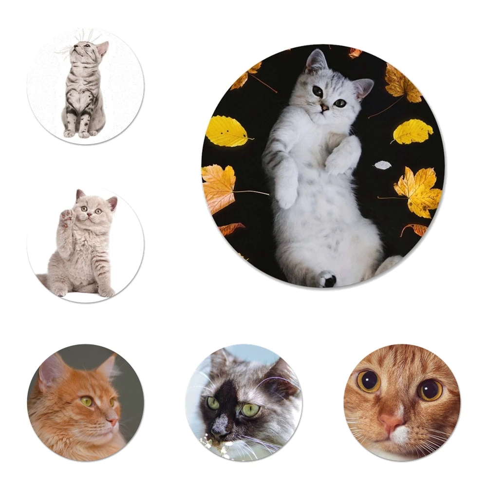 Lovely Cat Icons Pins Badge Decoration Brooches Metal Badges For Clothes Backpack Decoration 58mm