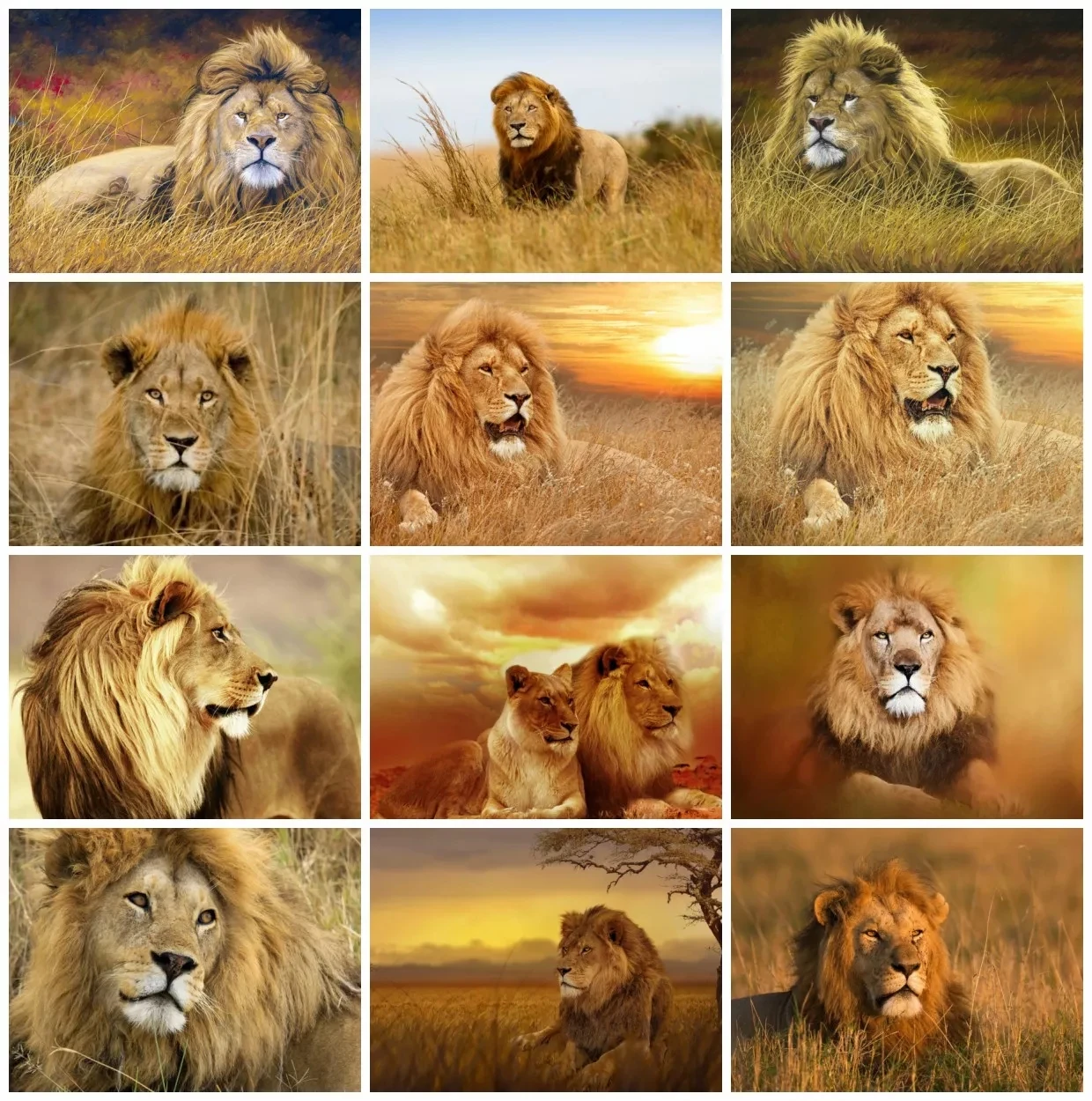 

Full diamond 5D Diy diamond embroidery lion rhinestone art animal full diamond painting cross stitch mosaic home decoration