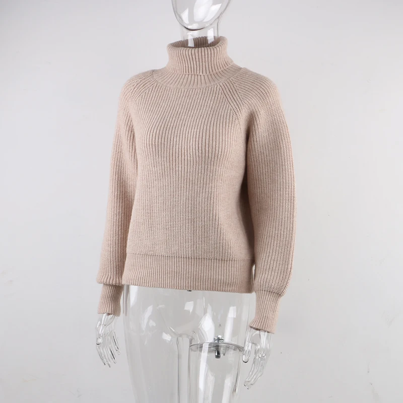 

Turtleneck Women Sweater Women Khaki Long Sleeve Pullover 2020 Autumn Winter Casual Pink Jumper Loose Sweaters Oversized