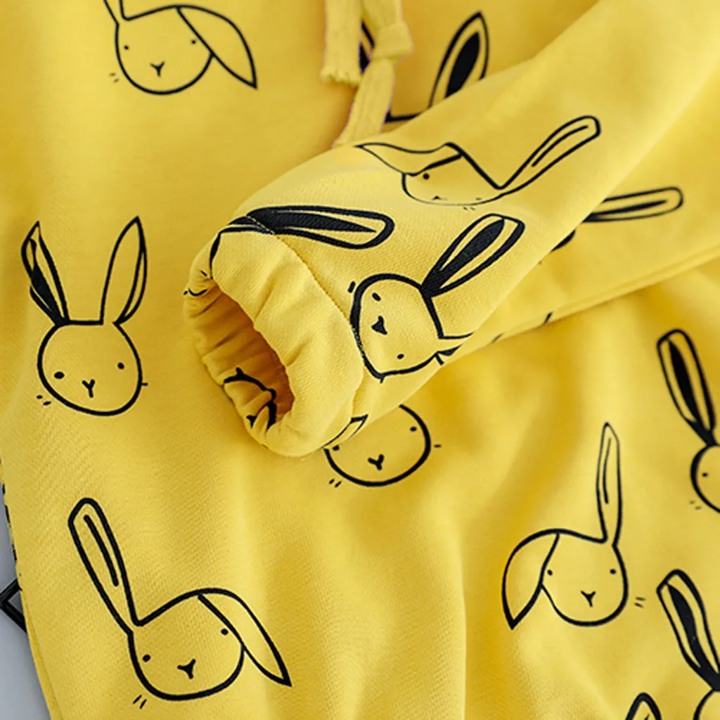 Одежда для маленьких девочек свитер с капюшоном и кроликом пуловер комплект со