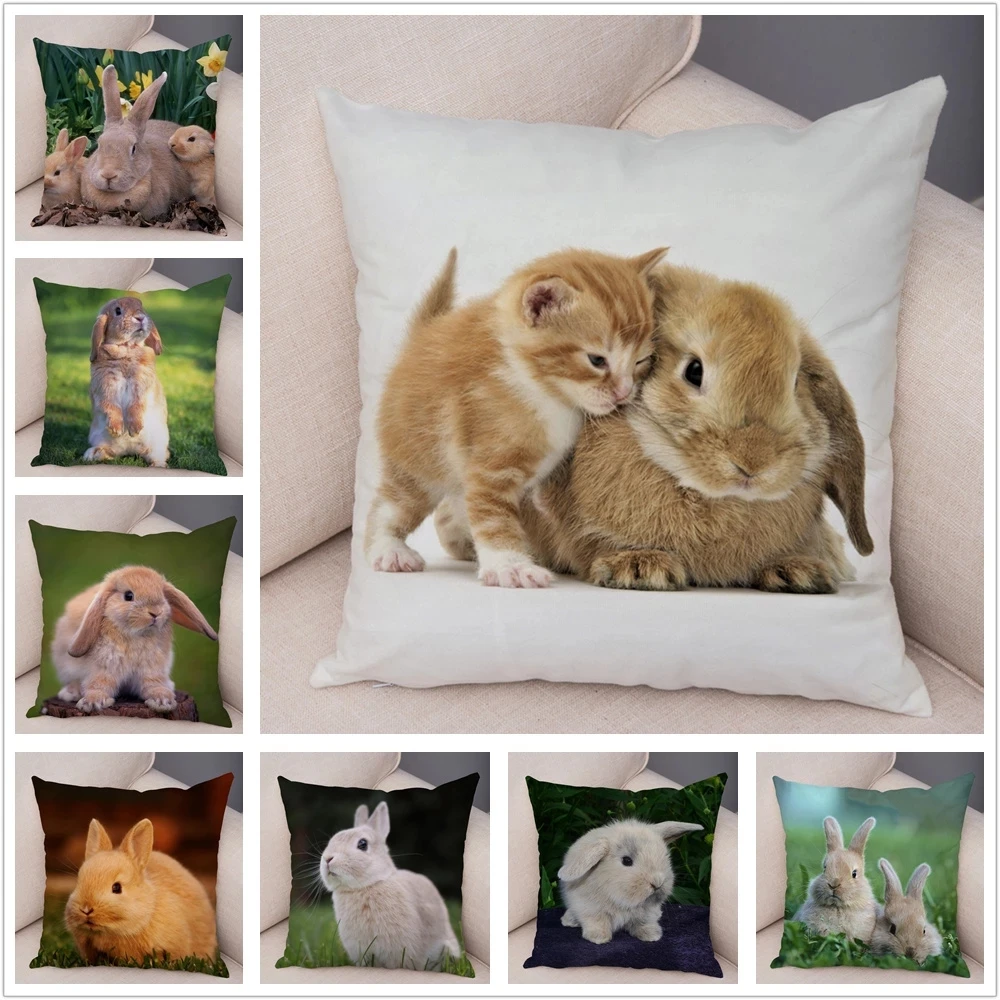 

Cute Rabbit Bunny Cushion Cover Pillowcase Pillow Covers for Sofa Car Home Decor Pet Animal Pillow Cover Cotton Plush 45x45cm