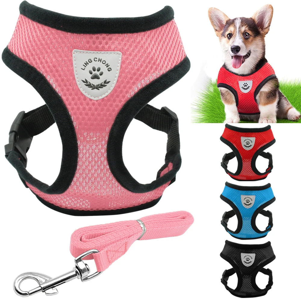 Дышащая маленькая шлейка для собаки домашнего животного и поводок собак щенков