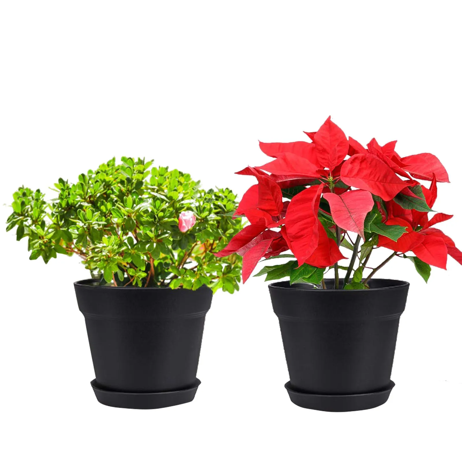

10PCS Flower Pot 6Inch Gardening With holes for easy nurturing flower pot with tray groot flower pot c50